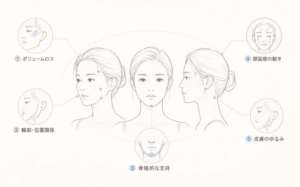 EMFACEやヒアルロン酸を選ぶ前に、ボリューム、輪郭、骨格的支持、顔面筋の動き、皮膚の状態を診察するポイント